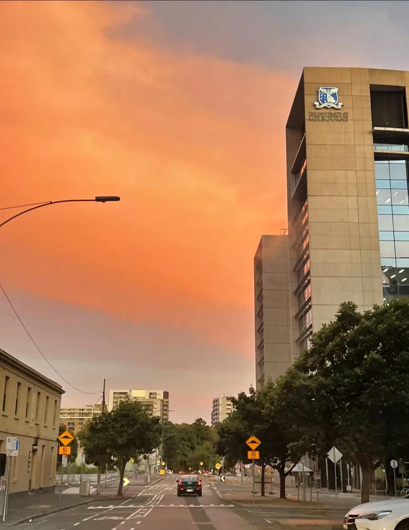 加州大学圣塔芭芭拉分校